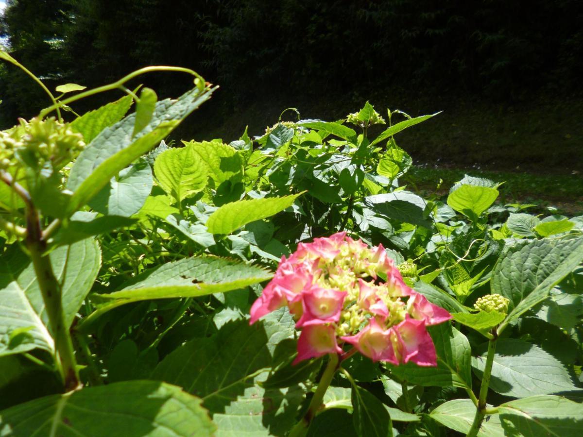 Bed and Breakfast Le Moulin De Cors Oulches Экстерьер фото