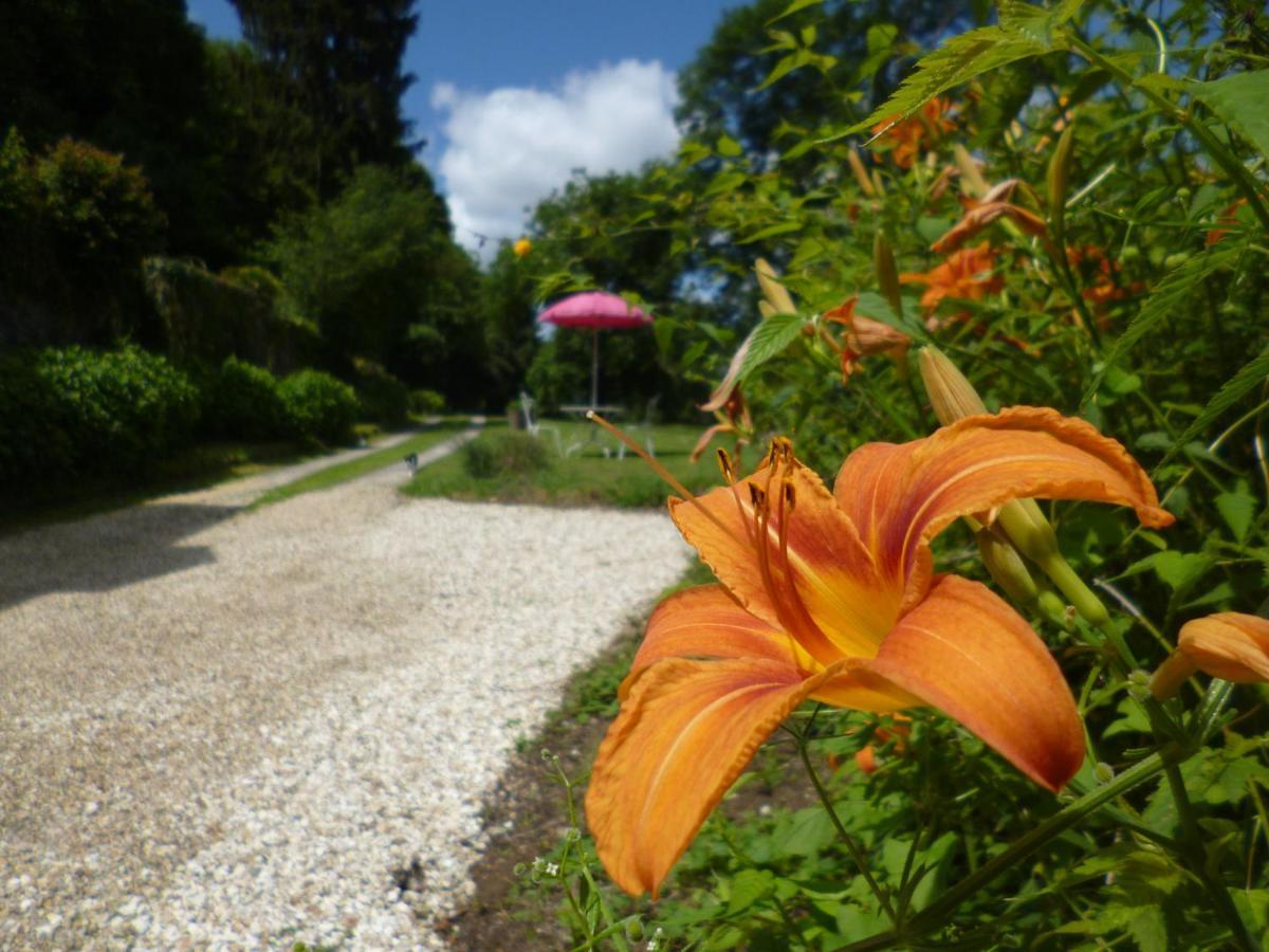 Bed and Breakfast Le Moulin De Cors Oulches Экстерьер фото